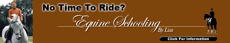 Schooling Banner Ad